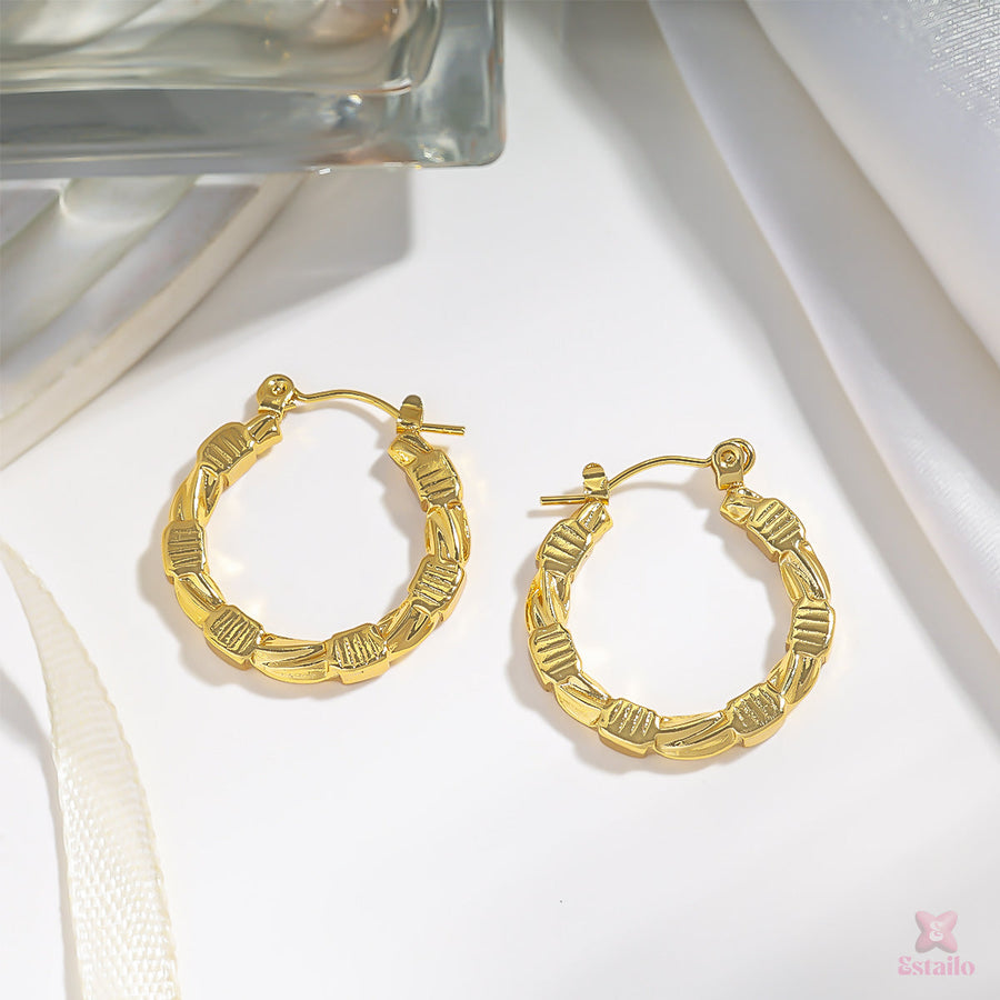 Twisted Hoop Earrings
