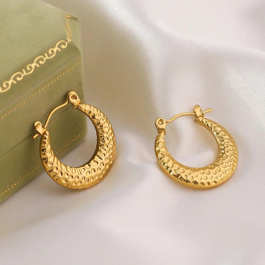 Dazzle Hoops Earrings