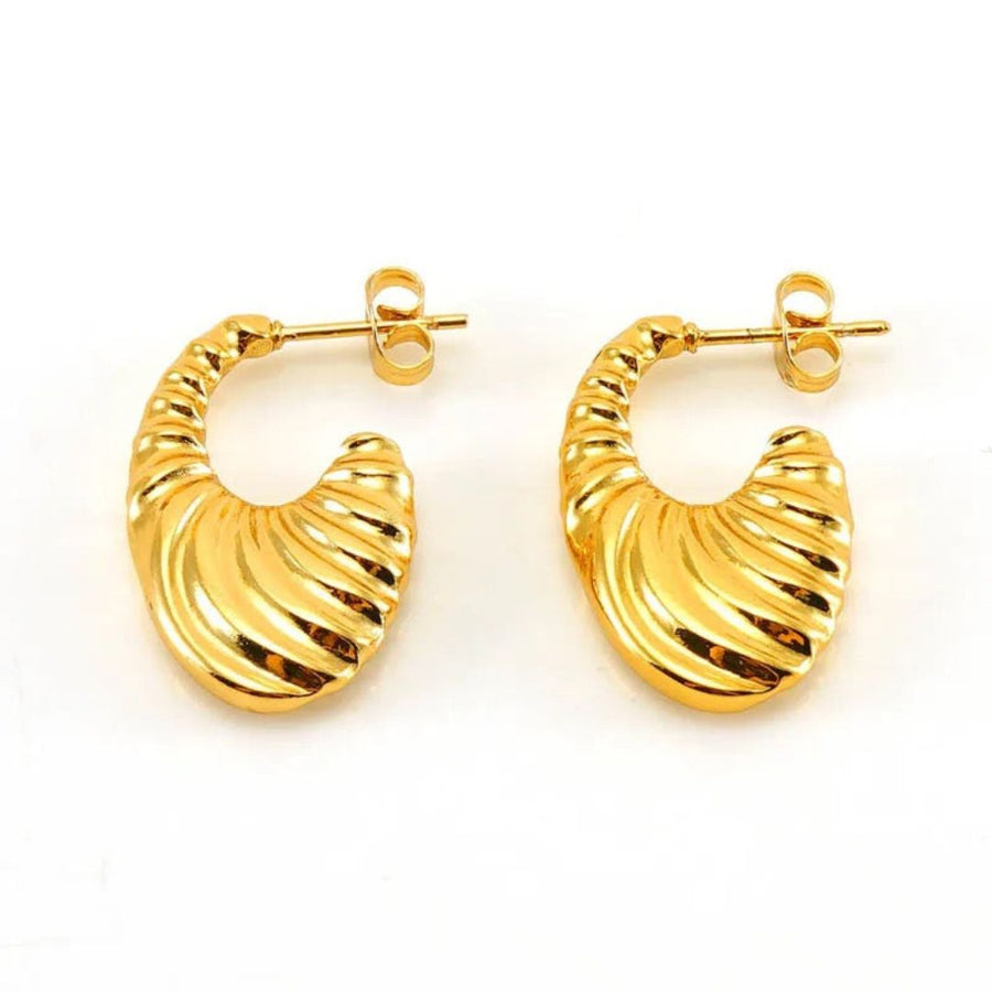 Golden Hoops Earring